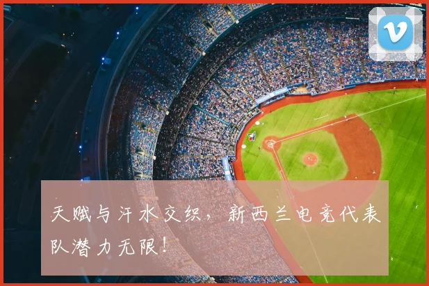 天赋与汗水交织，新西兰电竞代表队潜力无限！
