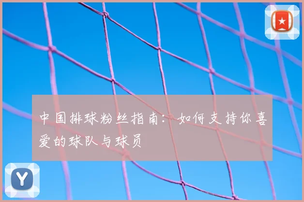 中国排球粉丝指南：如何支持你喜爱的球队与球员