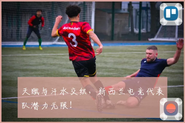 天赋与汗水交织,新西兰电竞代表队潜力无限!