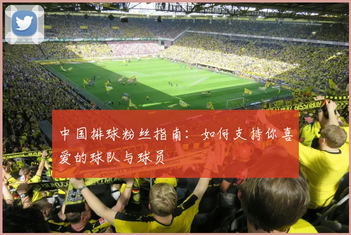 中国排球粉丝指南:如何支持你喜爱的球队与球员
