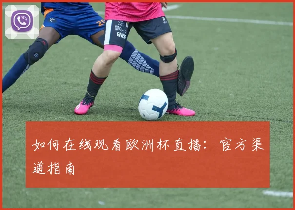 如何在线观看欧洲杯直播：官方渠道指南